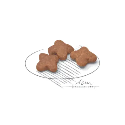 Small Adult 8+ Dry Dog Food
