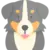 Large dog icon