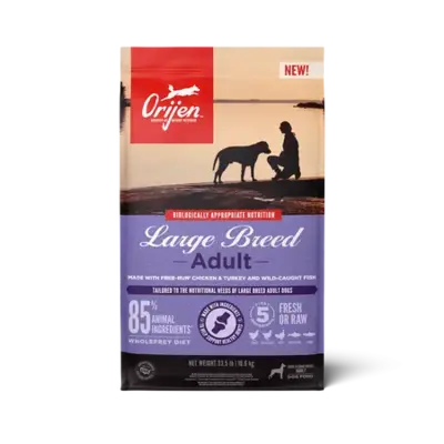 Large Breed Adult Recipe