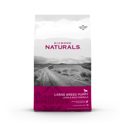 Large Breed Puppy Lamb & Rice Formula