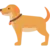 Senior dog icon