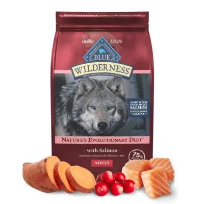 Wilderness Adult Salmon with Wholesome Grains