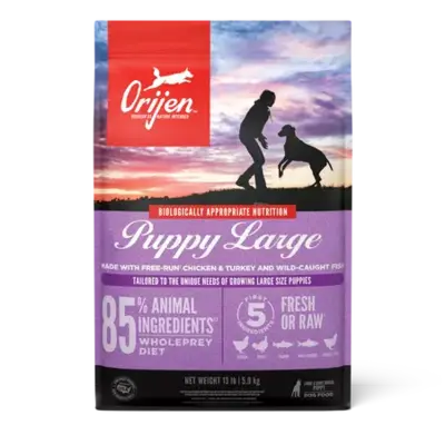 Puppy Large