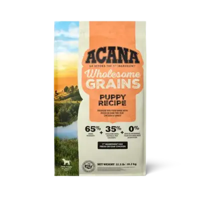 Wholesome Grains Puppy Recipe